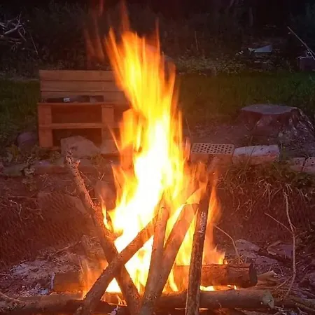 Lebensbaum In Trimberg * Elfershausen
